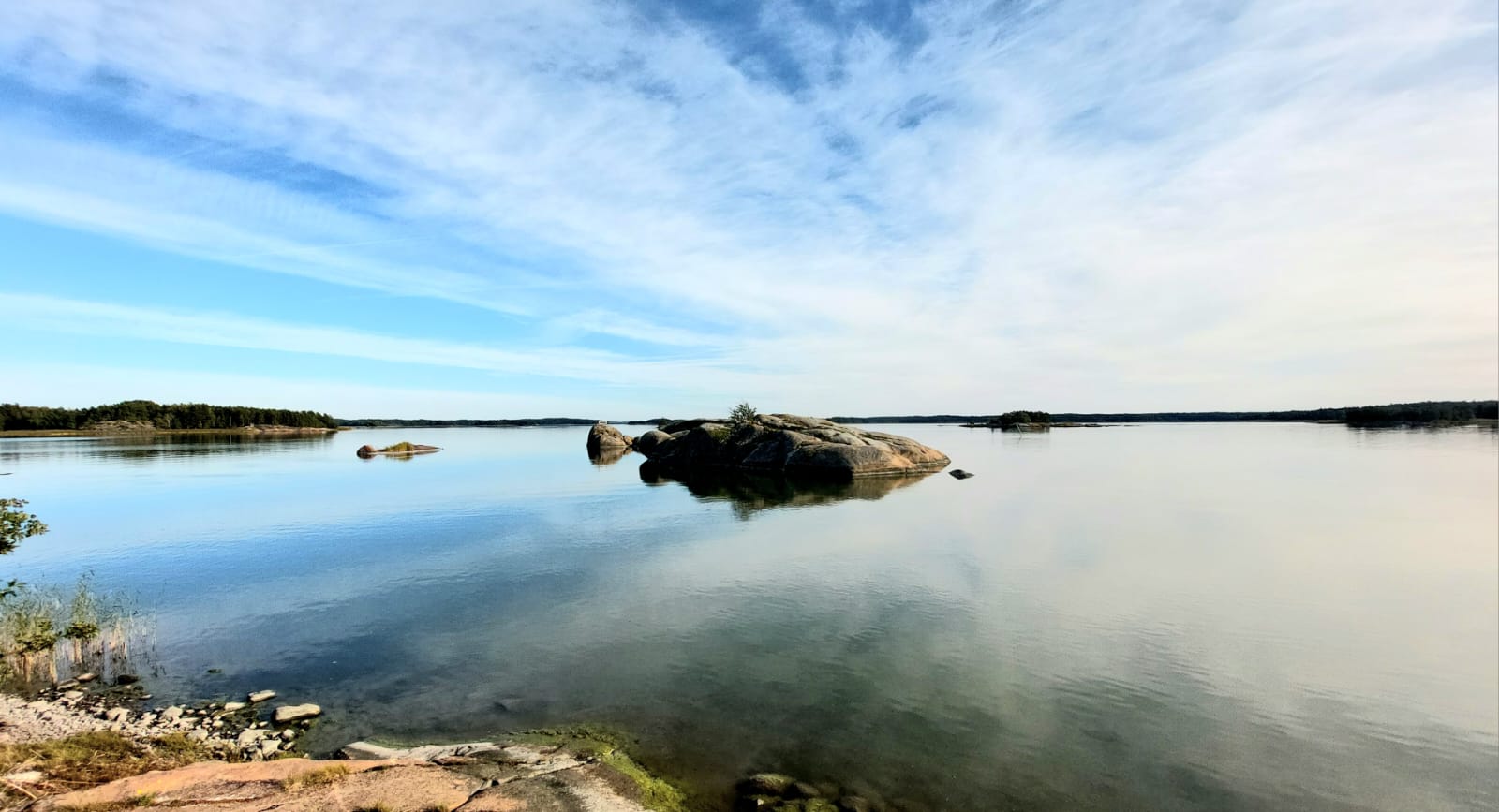 WhatsApp Image 2026 01 13 At 20.26.40