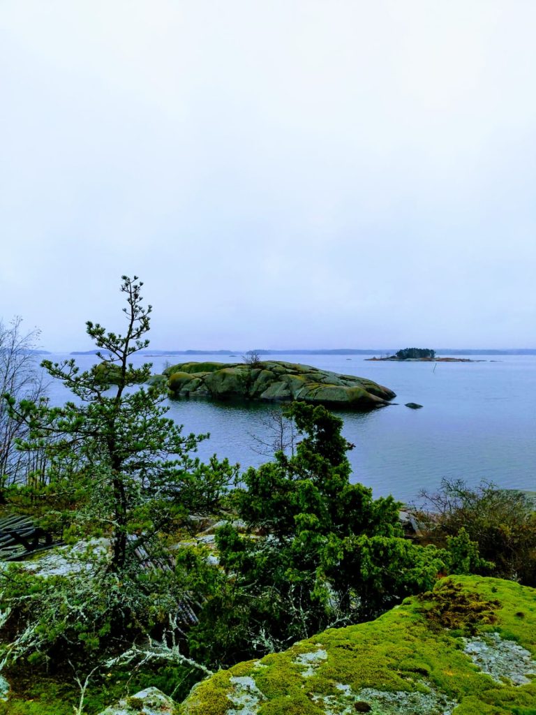 WhatsApp Image 2026 01 13 At 20.34.15 768x1024